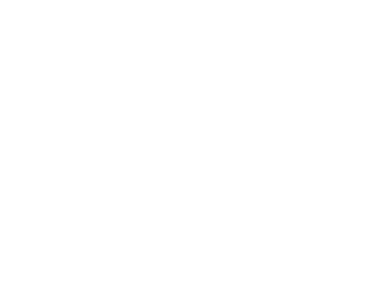 Private Sneakers