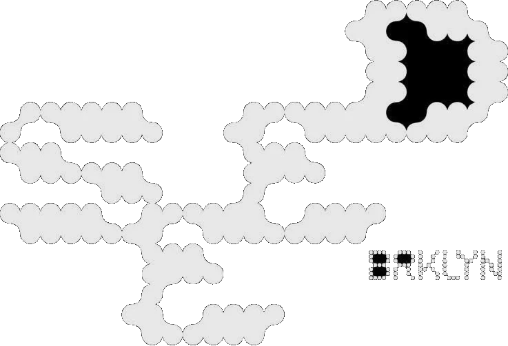 Seed Brklyn